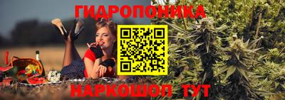 прущая мука Кингисепп