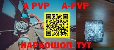 гашик Кимры
