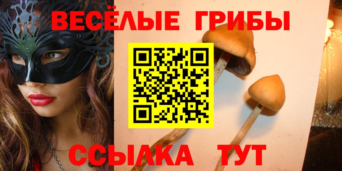 Галлюциногенные грибы MAGIC MUSHROOMS  Вход с VPN  Тихвин 